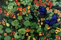 10. Nasturtiums and Butterflies